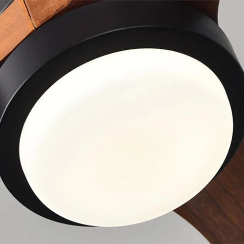 Wood Frequency Conversion Pendant Fan Light