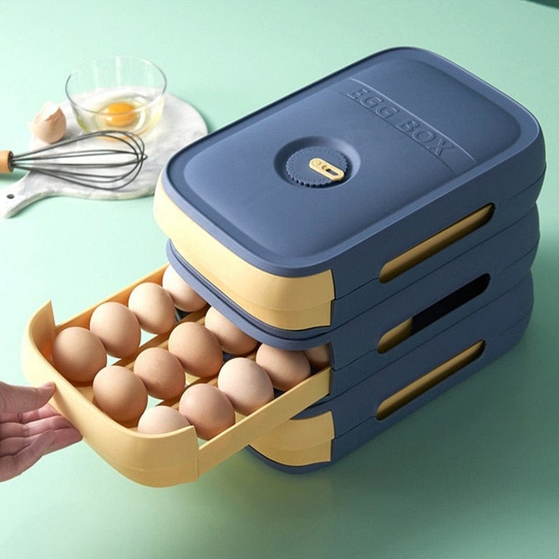 Egg Storage Box